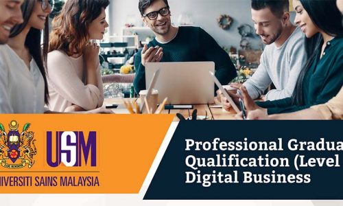 Digital Business Professional Graduate Qualification (Level 4)